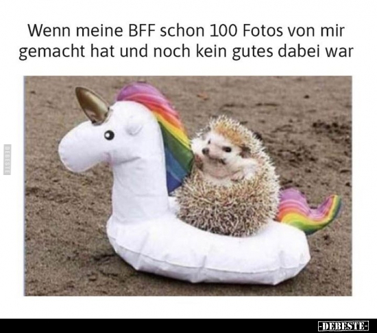 Wenn meine BFF schon 100 Fotos.. - Lustige Bilder | DEBESTE.de