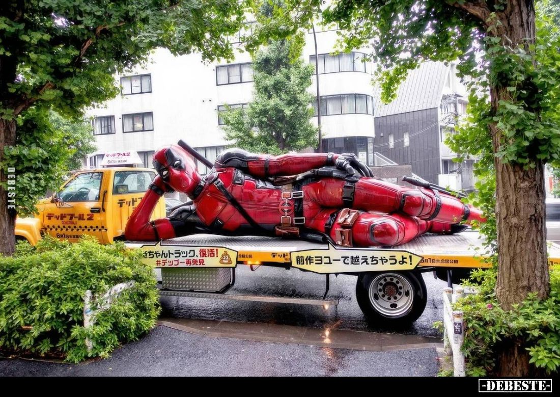  - Lustige Bilder | DEBESTE.de