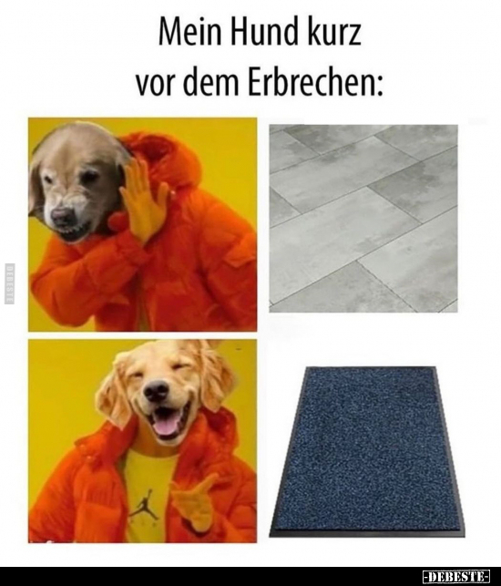 Mein Hund kurz vor dem Erbrechen.. - Lustige Bilder | DEBESTE.de