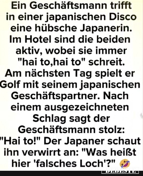 Hai to - Lustige Bilder | DEBESTE.de