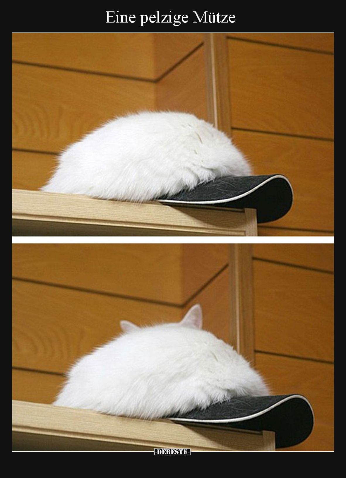 Eine pelzige Mütze