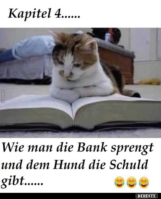 Kapitel 4... Wie man die Bank sprengt und dem Hund die.. - Lustige Bilder | DEBESTE.de
