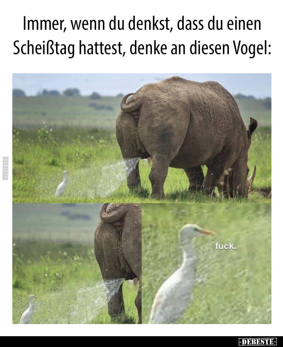 Immer, wenn du denkst, dass du einen Schei*tag hattest..
