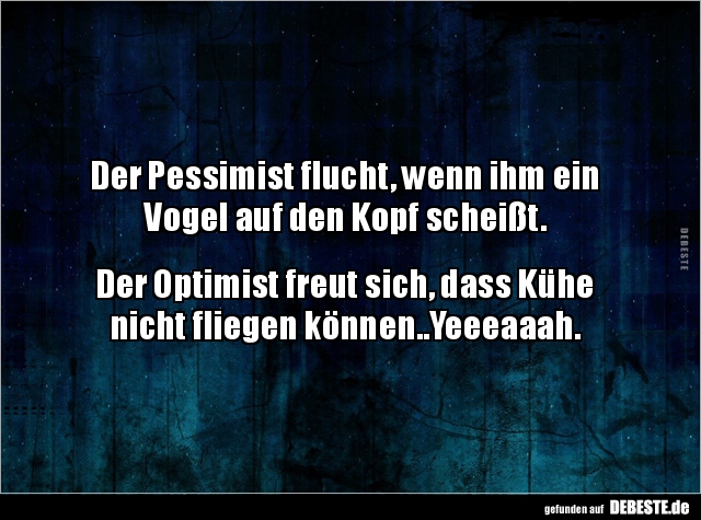 Der Pessimist flucht, wenn ihm ein Vogel auf den Kopf.. - Lustige Bilder | DEBESTE.de
