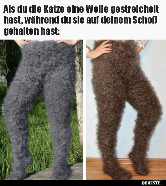 Als du die Katze eine Weile gestreichelt hast, während du.. - Lustige Bilder | DEBESTE.de