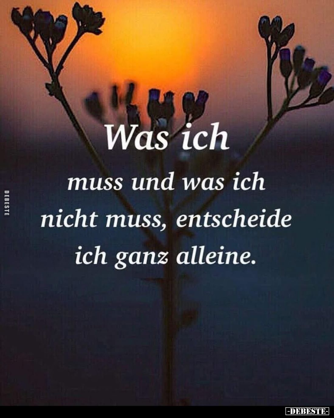 Was ich muss und was ich nicht muss, entscheide ich ganz alleine.