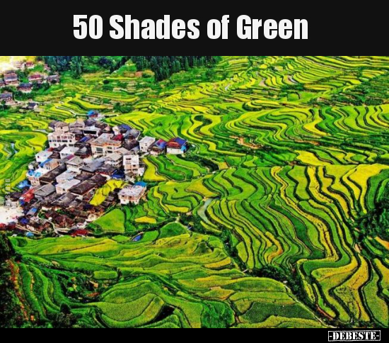 50 Shades of Green..