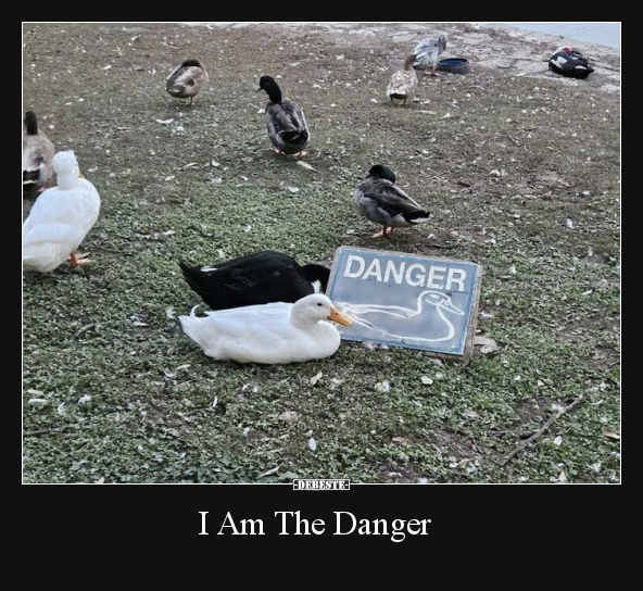 I Am The Danger.. - Lustige Bilder | DEBESTE.de