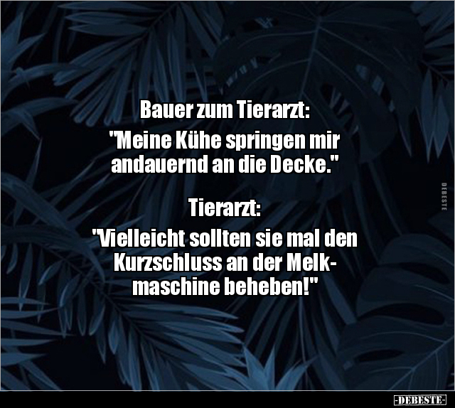 Bauer zum Tierarzt: "Meine Kühe springen mir andauernd an.." - Lustige Bilder | DEBESTE.de