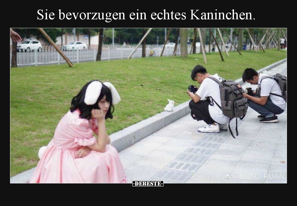 Sie bevorzugen ein echtes Kaninchen.