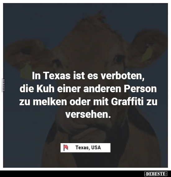 In Texas ist es verboten, die Kuh einer anderen Person zu.. - Lustige Bilder | DEBESTE.de