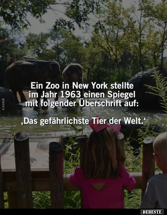 Ein Zoo in New York stellte im Jahr 1963 einen Spiegel mit.. - Lustige Bilder | DEBESTE.de