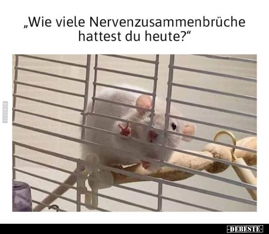 "Wie viele Nervenzusammenbrüche hattest du heute?".. - Lustige Bilder | DEBESTE.de