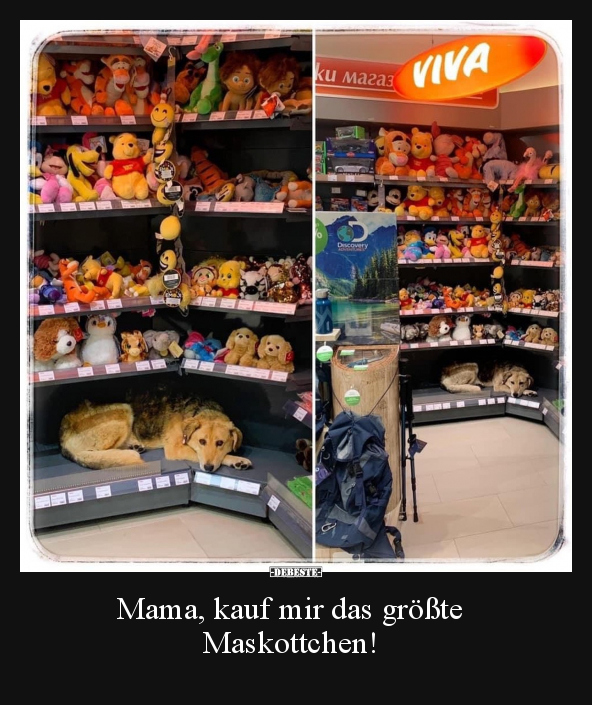 Mama, kauf mir das größte Maskottchen!.. - Lustige Bilder | DEBESTE.de