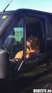 25 Jahre auf dem Bau und wie dafür gemacht...