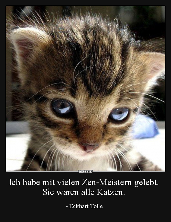 Ich habe mit vielen Zen-Meistern gelebt. Sie waren alle..