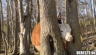 Weg da, das ist mein Platz..