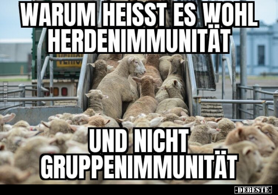 Warum heisst es wohl Herdenimmunität.. - Lustige Bilder | DEBESTE.de