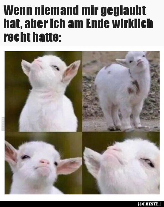 Wenn niemand mir geglaubt hat, aber ich am Ende wirklich.. - Lustige Bilder | DEBESTE.de