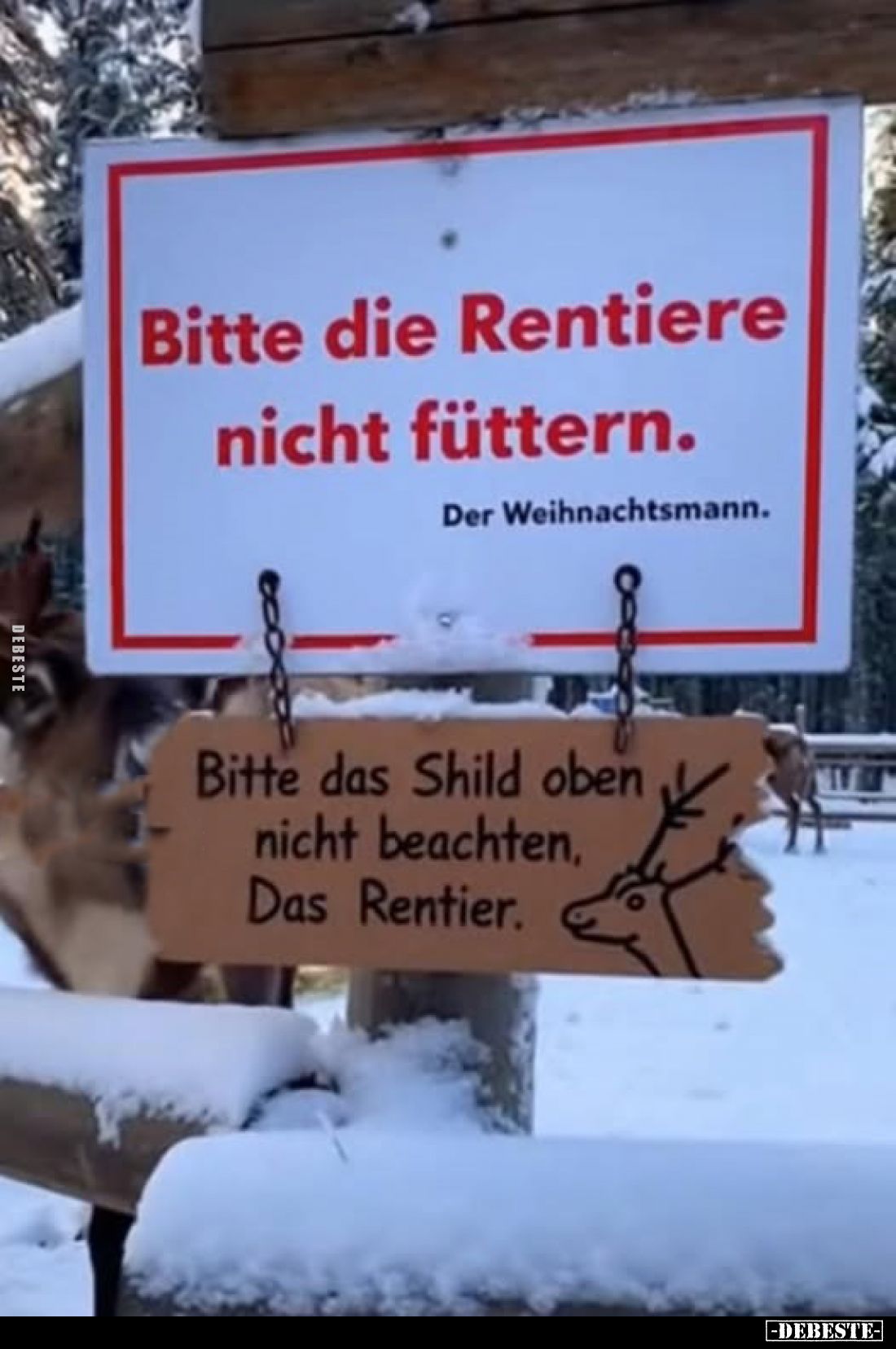 Bitte die Rentiere nicht füttern. Der Weihnachtsmann. - Lustige Bilder | DEBESTE.de