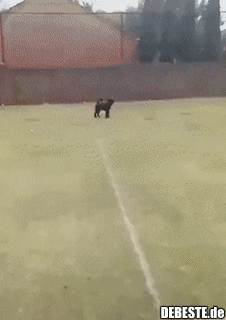 Nicht ganz wie geplant gelaufen..