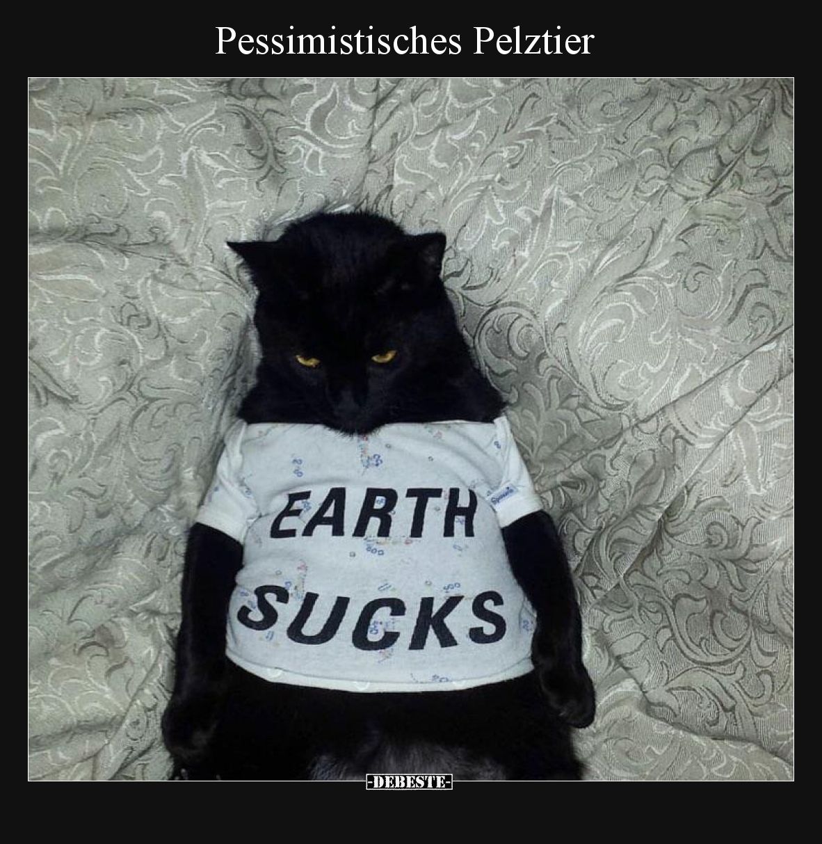 Pessimistisches Pelztier