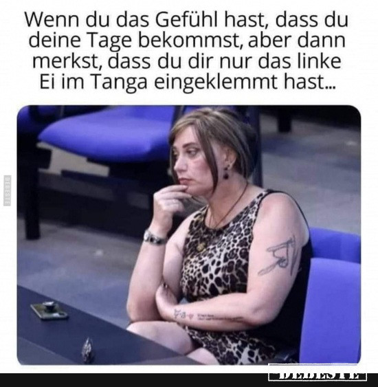  - Lustige Bilder | DEBESTE.de