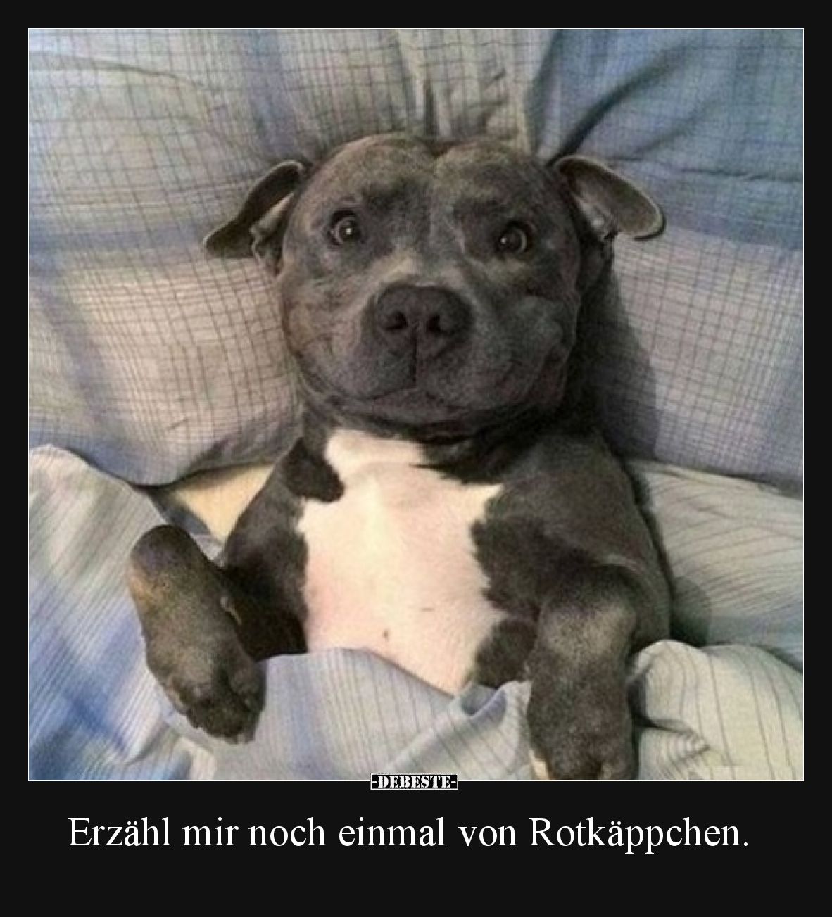 Erzähl mir noch einmal von Rotkäppchen.