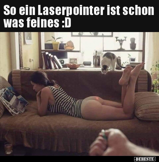 So ein Laserpointer ist schon was feines :D - Lustige Bilder | DEBESTE.de