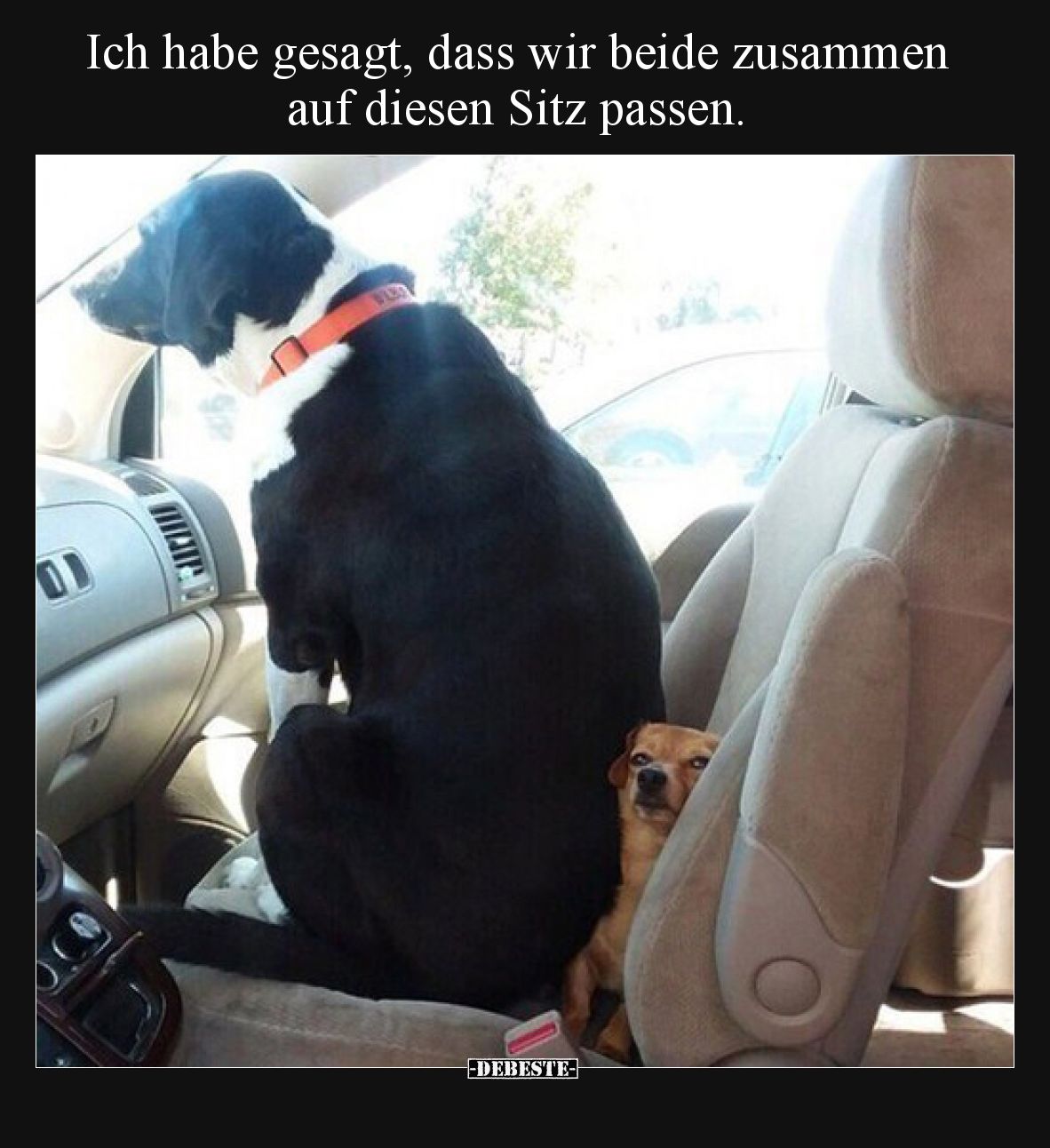 Ich habe gesagt, dass wir beide zusammen auf diesen Sitz passen.
