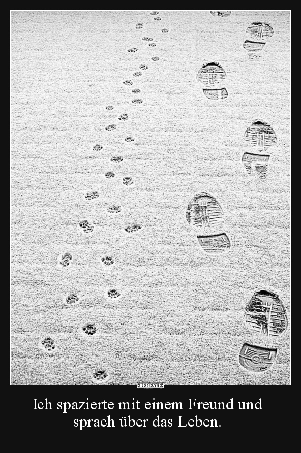 Ich spazierte mit einem Freund und sprach über das Leben...