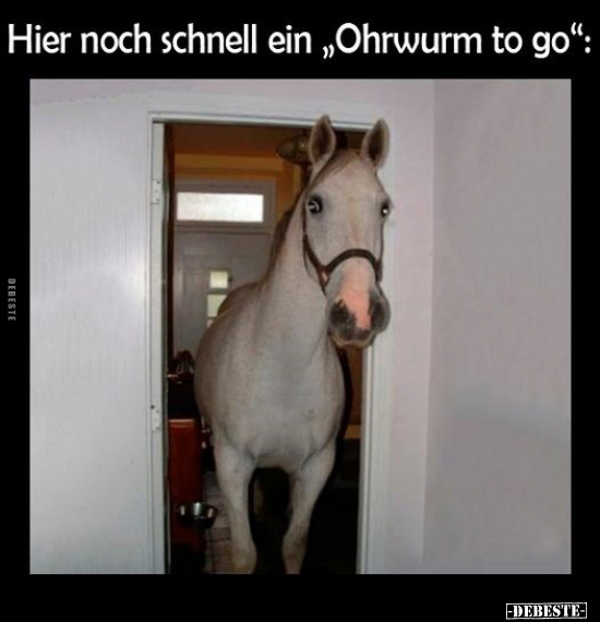 Hier noch schnell ein "Ohrwurm to go".. - Lustige Bilder | DEBESTE.de