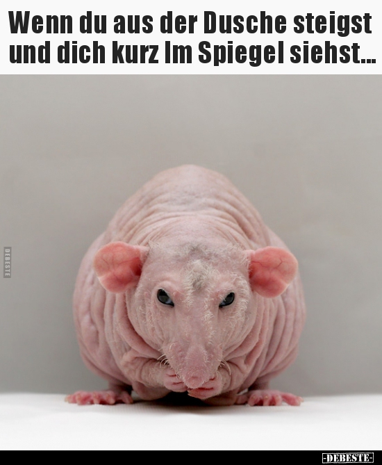 Wenn du aus der Dusche steigst und dich kurz Im Spiegel..