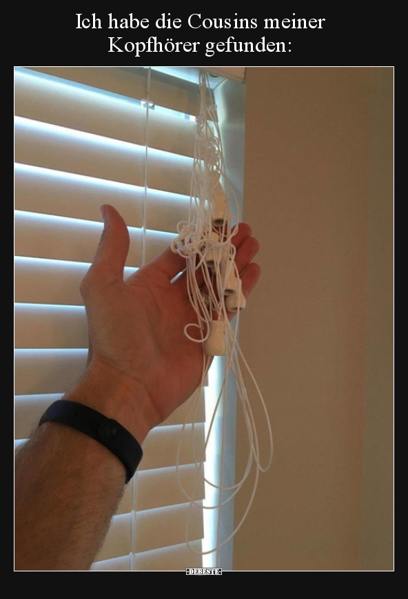 Ich habe die Cousins meiner Kopfhörer gefunden..