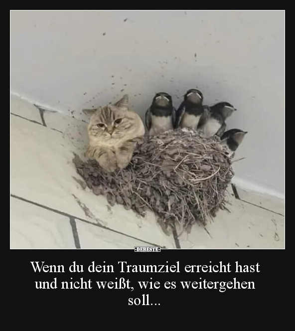 Wenn du dein Traumziel erreicht hast und nicht weißt, wie.. - Lustige Bilder | DEBESTE.de