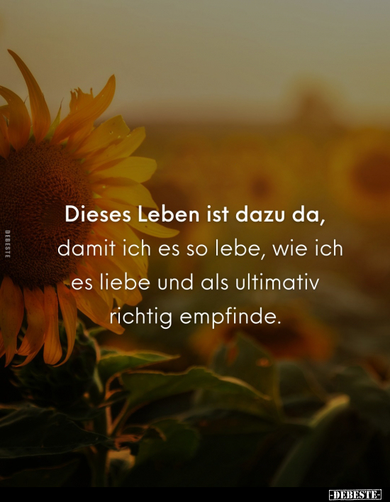 Dieses Leben ist dazu da, damit ich es so lebe.. - Lustige Bilder | DEBESTE.de