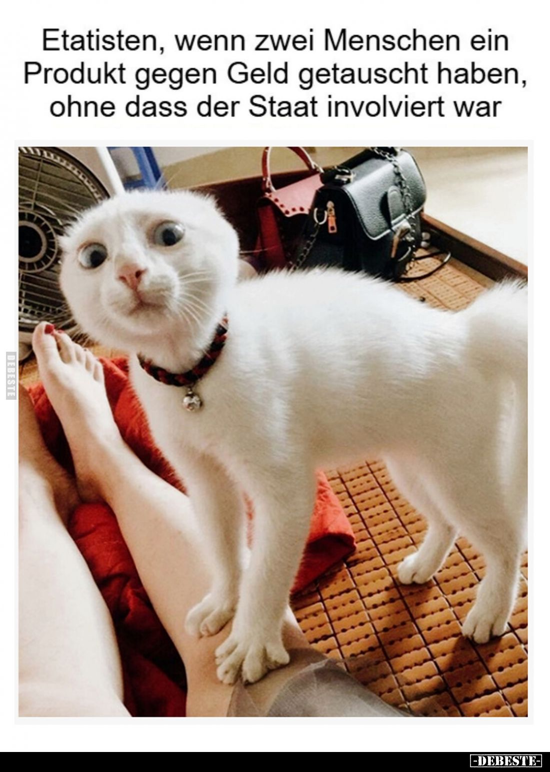 Etatisten, wenn zwei Menschen ein Produkt gegen Geld getauscht haben, ohne dass der Staat involviert war.