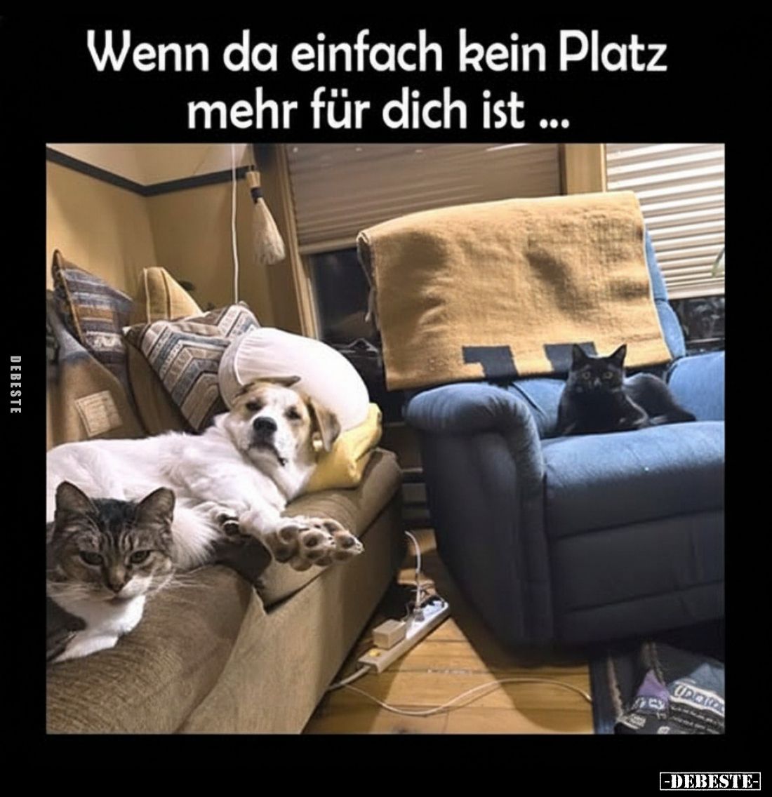 Wenn da einfach kein Platz mehr für dich ist ...