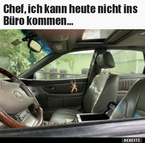 Chef, ich kann heute nicht ins Büro kommen...