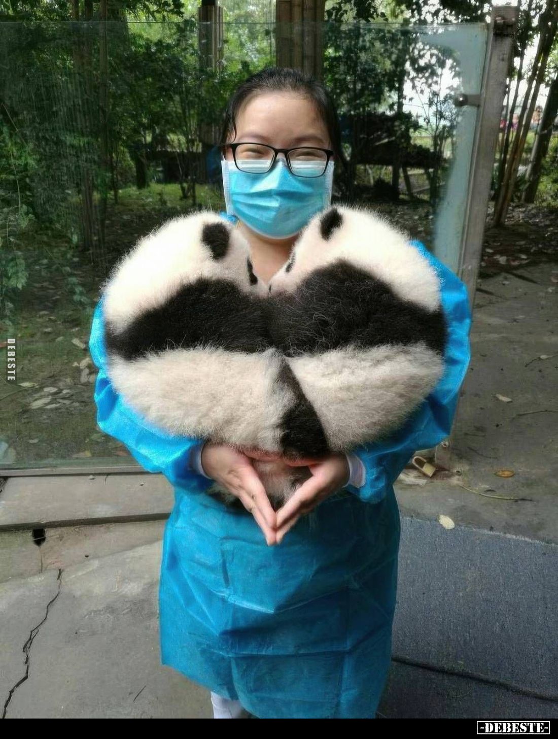  - Lustige Bilder | DEBESTE.de