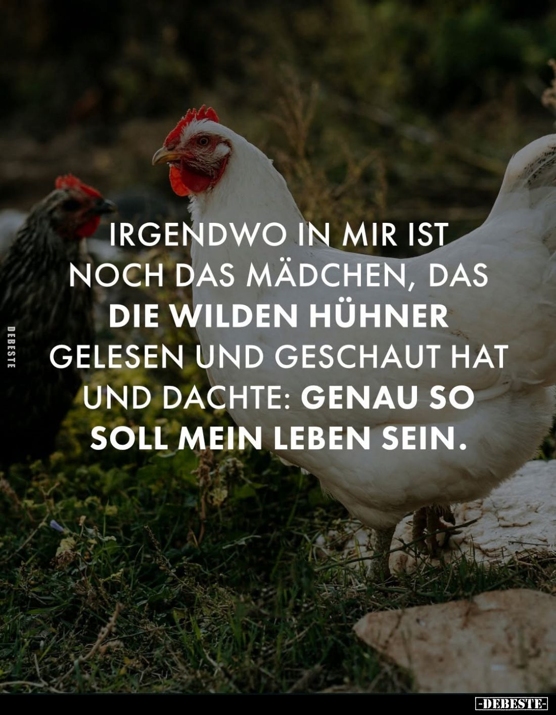Irgendwo in mir ist noch das Mädchen, das die wilden Hühner gelesen und geschaut hat und dachte: genau so soll mein Leben sei...
