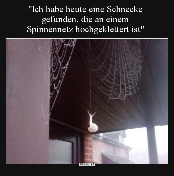 "Ich habe heute eine Schnecke gefunden, die an einem.." - Lustige Bilder | DEBESTE.de