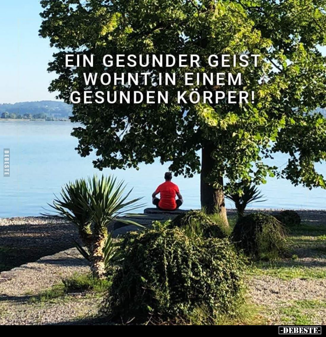 Ein gesunder Geist wohnt in einem gesunden Körper!