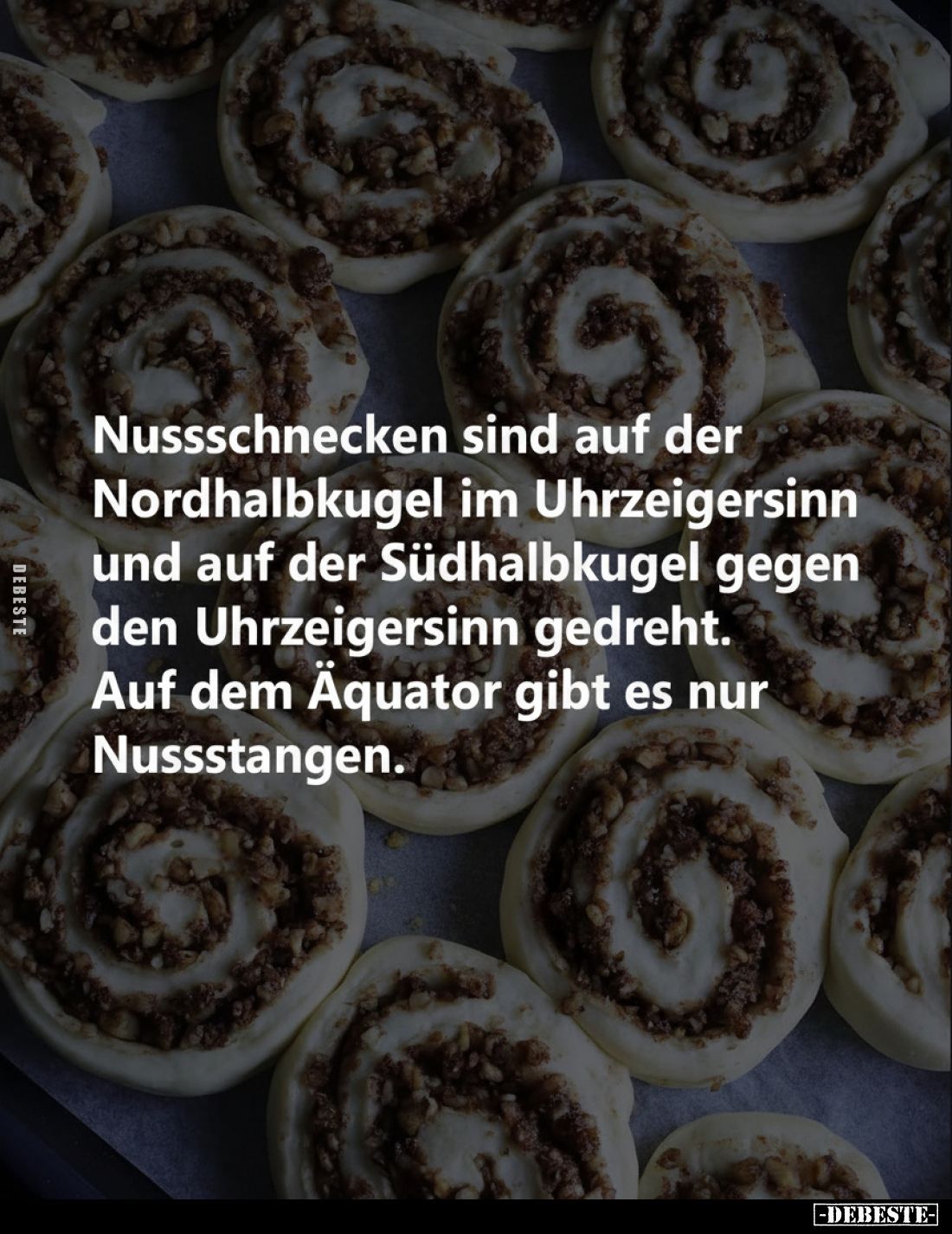 Nussschnecken sind auf der Nordhalbkugel im Uhrzeigersinn und auf der Südhalbkugel gegen den Uhrzeigersinn gedreht.
Auf dem ...