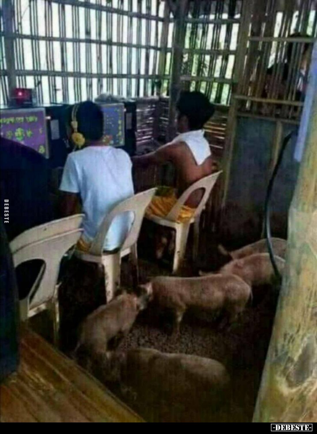  - Lustige Bilder | DEBESTE.de