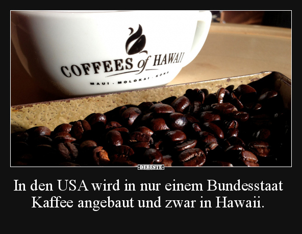 Kaffee, Hawaii