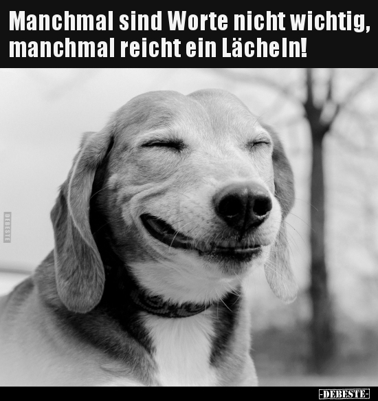 Manchmal sind Worte nicht wichtig, manchmal reicht ein..