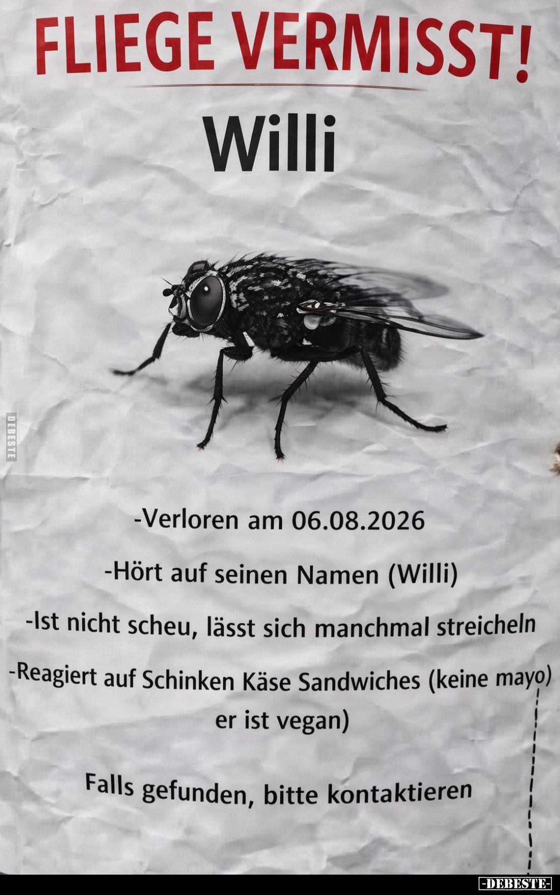 FLIEGE VERMISST!

Willi

-Verloren am 06.08.2026

-Hört auf seinen Namen (Willi)

-Ist nicht scheu, lässt sich manchm...
