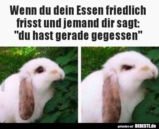 Wenn du dein Essen friedlich frisst und jemand dir..