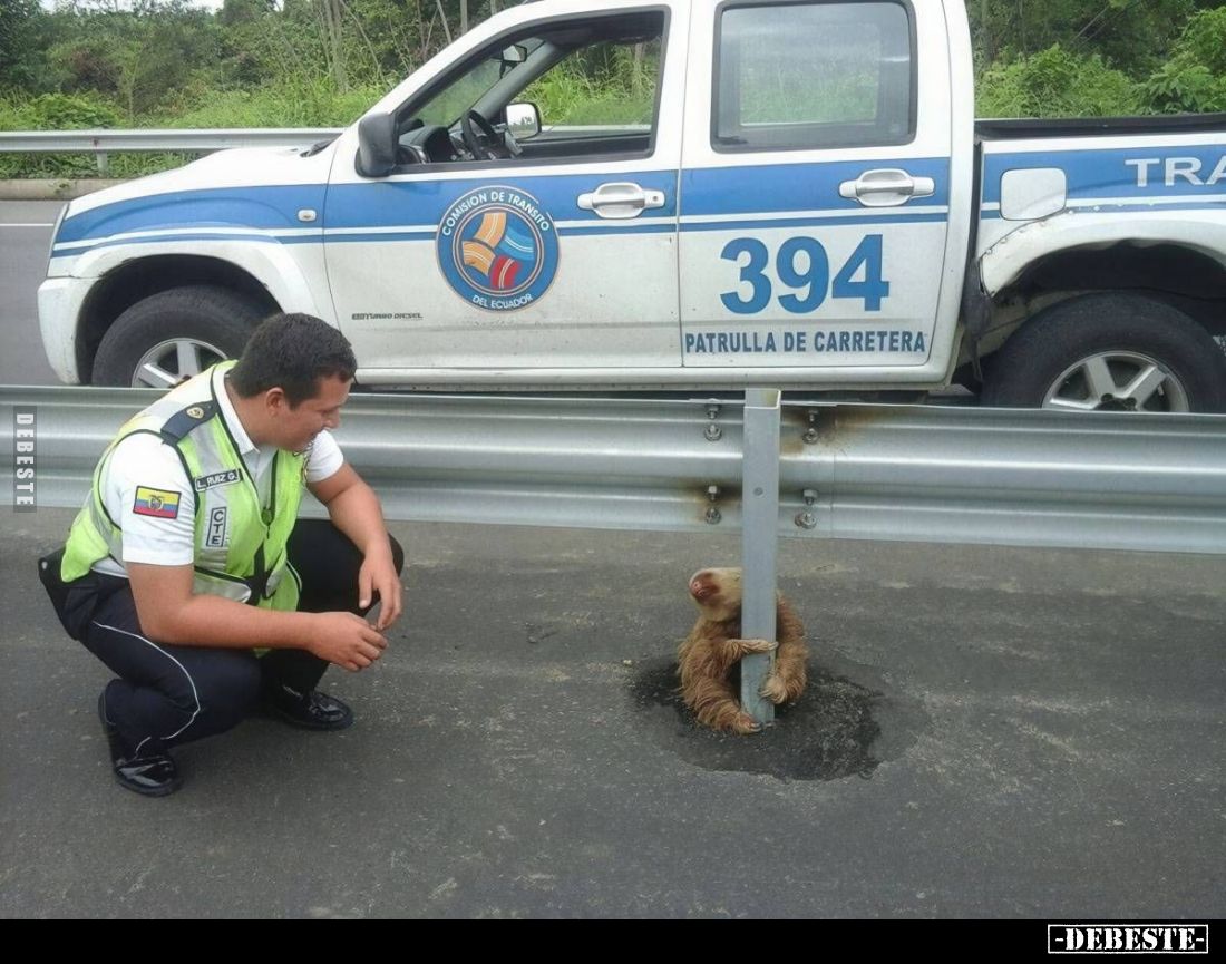  - Lustige Bilder | DEBESTE.de